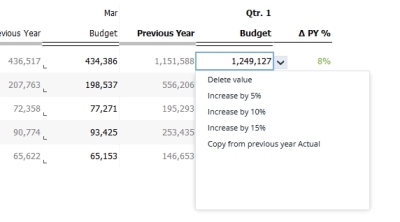 Example of data validation list in a Jedox report